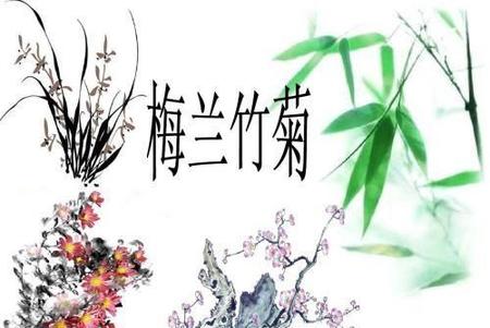 梅兰竹菊分别象征着什么样的精神(古今常有人把什么称为四君子)