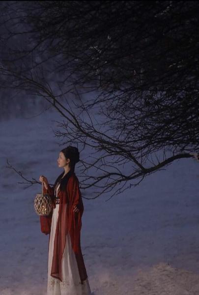 何来人间惊鸿客 只是尘世一俗人