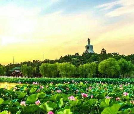 家里穿不了的旧衣服怎么处理(家里一堆旧衣服怎么处理)