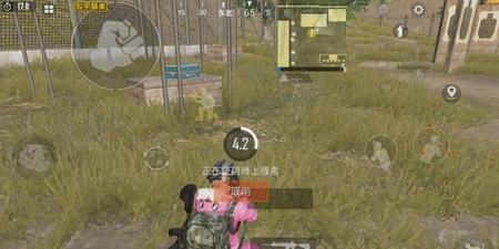 和平精英能苟到超级王牌吗(5点18分)