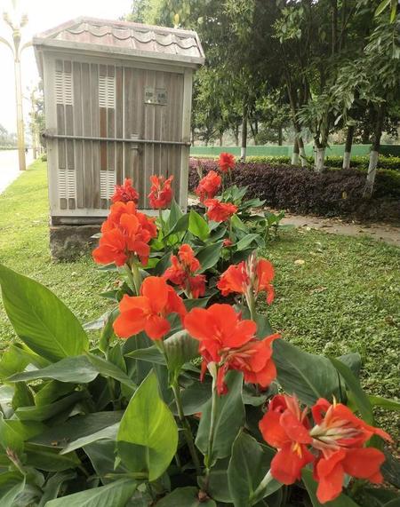 怎么一辈子不得癌症(一辈子不得癌症的方法)