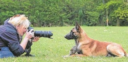 捉害虫有哪些动物(什么动物会捕捉什么害虫)