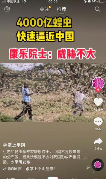 非洲遭遇罕见蝗灾你如何看待(非洲蝗虫灾2020最新情况)