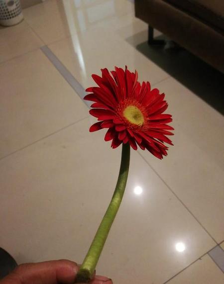 都说女人是红颜祸水,谁又能体会(红颜祸水的男人)