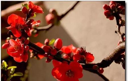 善良本身没有错,但一定要有点锋芒(善良还是要带点锋芒)