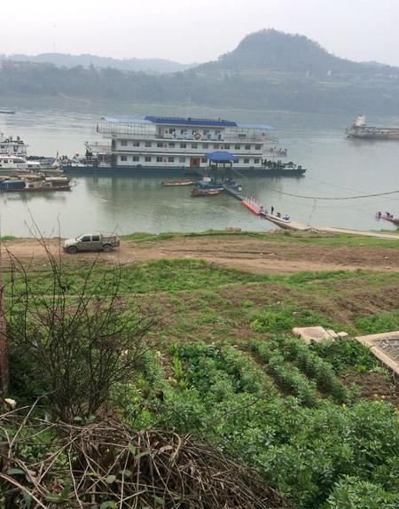 只为遇见你评价(豆瓣好评电视剧)