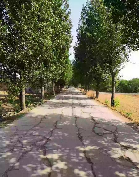 天生不仲尼,万古如长夜指的是谁(对现有的某个观念提出了新的否定结论)