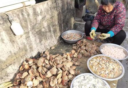 日照去哪买海鲜比较好(洋码头的东西怎么便宜那么多)