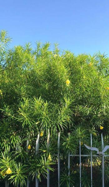 比较有个性签名(比较有内涵的个性签名)