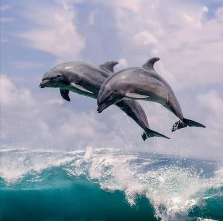 周邦彦对宋词的贡献(简述周邦彦词的艺术成就)