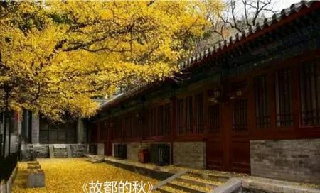 郁达夫受哪些作家影响(郁达夫的文学代表作)