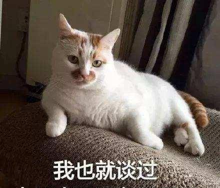 女孩玩你的感情