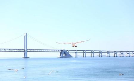 职场炮灰 如何自救(如何避免成为炮灰)