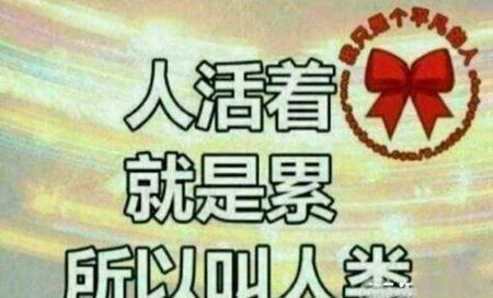 人活一世,草木一秋,就得自己疼自己