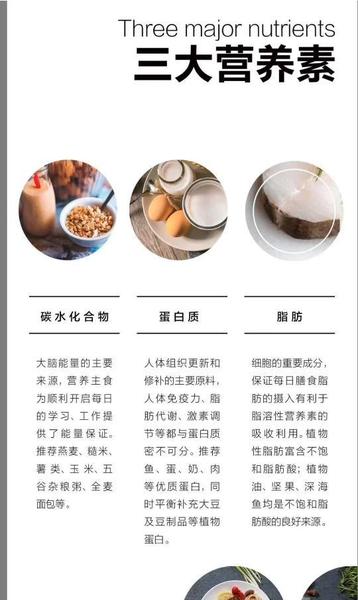 一个汉堡的热量人可以吸收多少