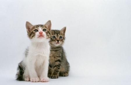 婆家人对你的态度和老公有关(在婆家的地位取决于老公的态度)