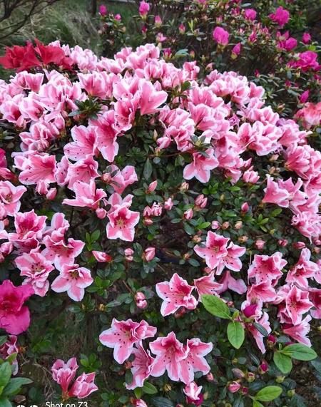 相守一生不容易(情相依爱相守简谱歌曲教程视频)