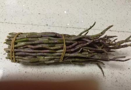 西洋参石斛北芪可以一起煮吗(石斛西洋参的功效与作用)