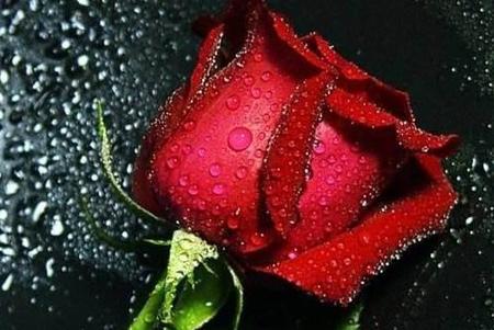 婚姻就是枷锁(好的婚姻让女人越来越美)