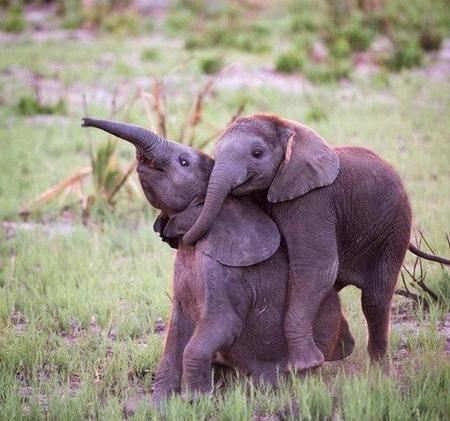 什么人容易得社交恐惧症(知道app下载)