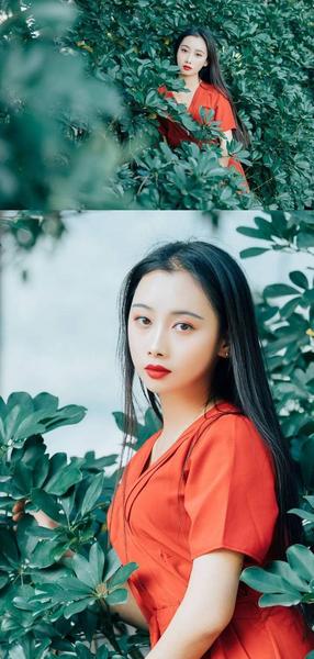 孤芳自赏的意思是什么(孤芳自赏是什么意思解释词语)