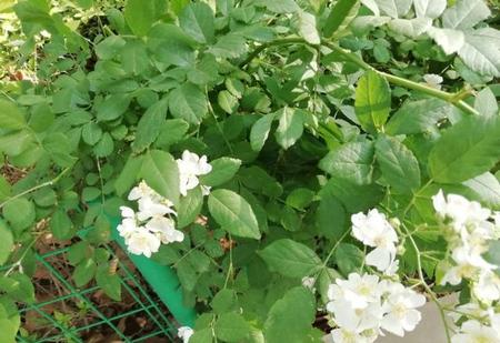 总是忘不了过去的伤害怎么办