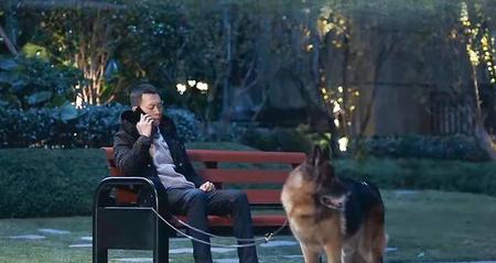 重生原著中秦驰和谁在一起了(重生秦驰最后的结局)