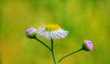 能不能留一句你认为最干净的句子(网友神评经典句子)