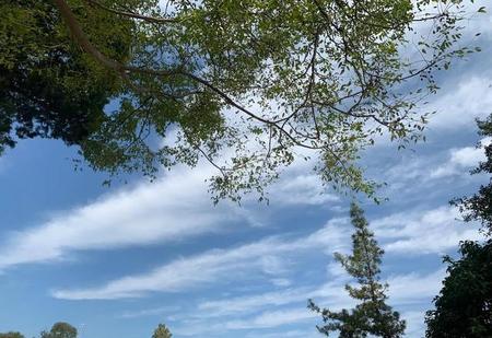 如果可以重来你还会选择我吗