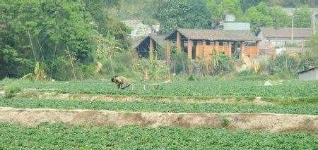 农村什么时候分的地(农村土地会不会重新分配)