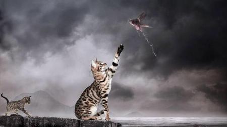 改变人生歌曲歌词(歌曲改变人生歌词)