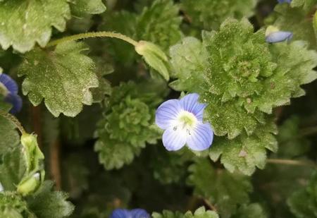 嗜赌如命的人会改吗