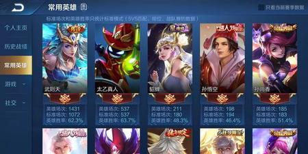 王者隐藏贵族标志别人能看到吗?