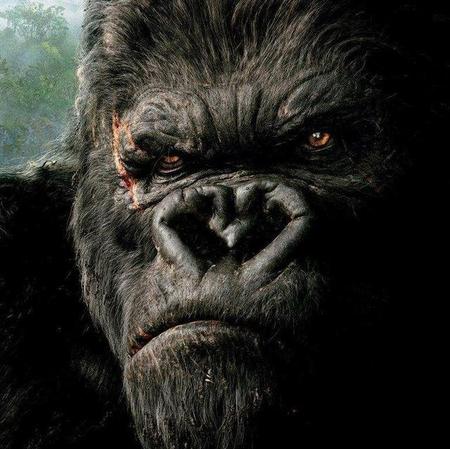 哥斯拉大战金刚还是金刚大战哥斯拉(金刚大战哥斯拉的电影)