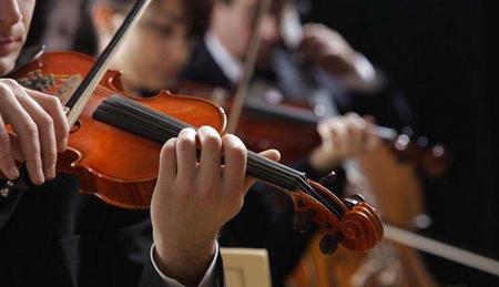 请说出下列大调的关系小调C G D F(如何分辨音色音调响度和振幅频率)