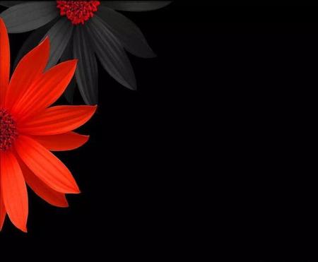 忘不掉的人就放在心底