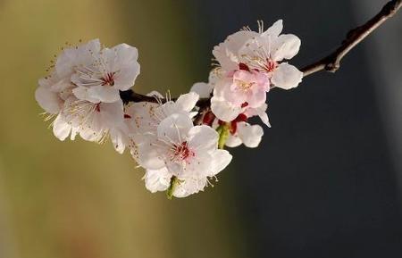 云南旅游的感受