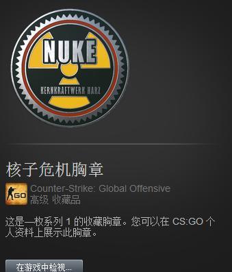 csgo名字旁边的勋章(坚持付出总会得到回报)