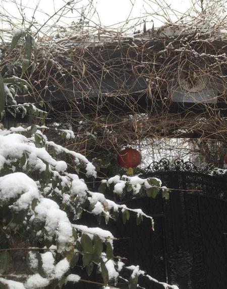 元宵绘画图片简笔画