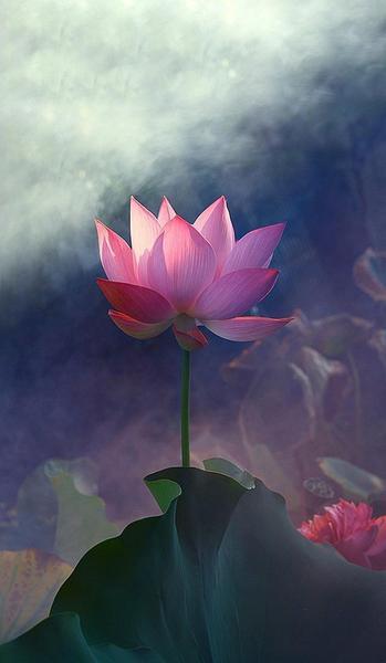 人生的目的求得好死(曾仕强 人生的目的)