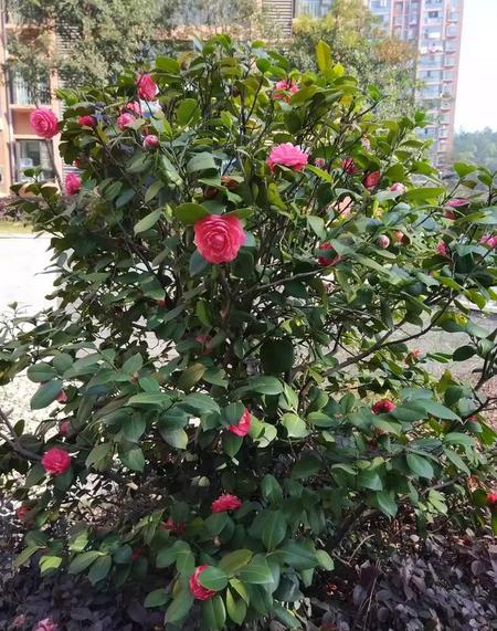 你认为春捂秋冻有道理吗为什么