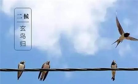 冬天来了燕子飞往南方对吗(冬天到了燕子飞往南方这个是正确的还是错)