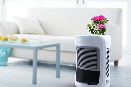 一下雨屋里特别潮