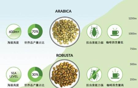 为什么早上喝咖啡晚上睡不着觉(早上喝咖啡晚上睡不着是为什么)