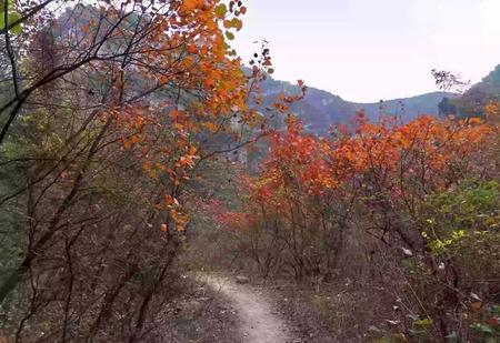 平凡的世界和白鹿原(白鹿原与平凡的世界,哪部更好?)