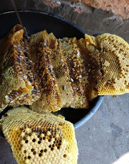 野生蜂蜜怎么保存,一般可以放多久(野生蜂蜜保质期多久 怎么保存)