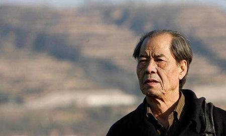 陈忠实康家小院浅析(陈忠实康家小院的结局)