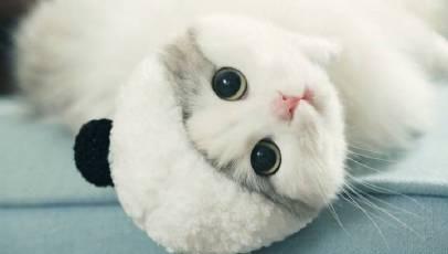 做梦遇到尴尬的事(梦见很尴尬)