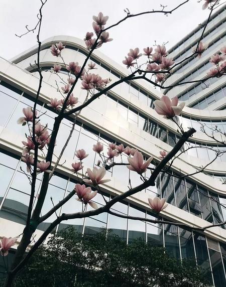 真正的爱不是占有而是成全(成全你的爱情歌词)