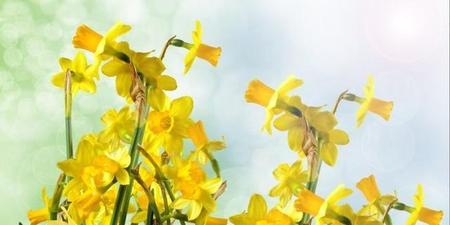 幸福院于大乐和袁晓梅在一起了吗